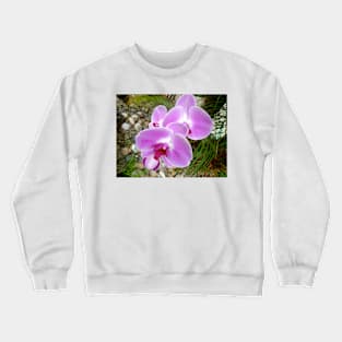 Lavender Orchid Crewneck Sweatshirt